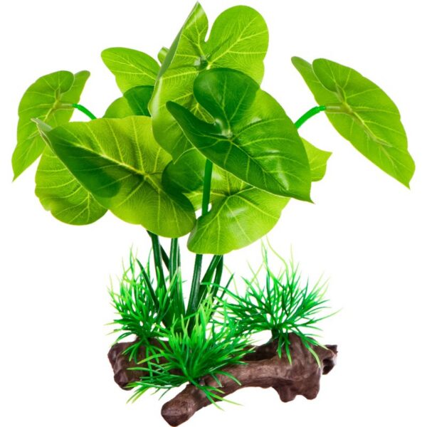 Kruger Meier Plant Grower Root