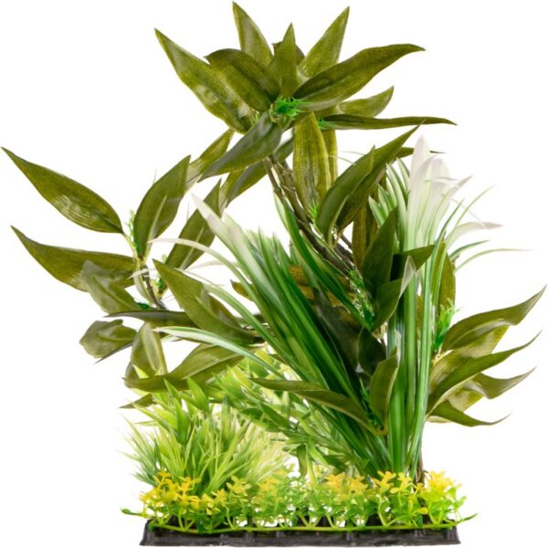 Kruger Meier Plant Mixed Set