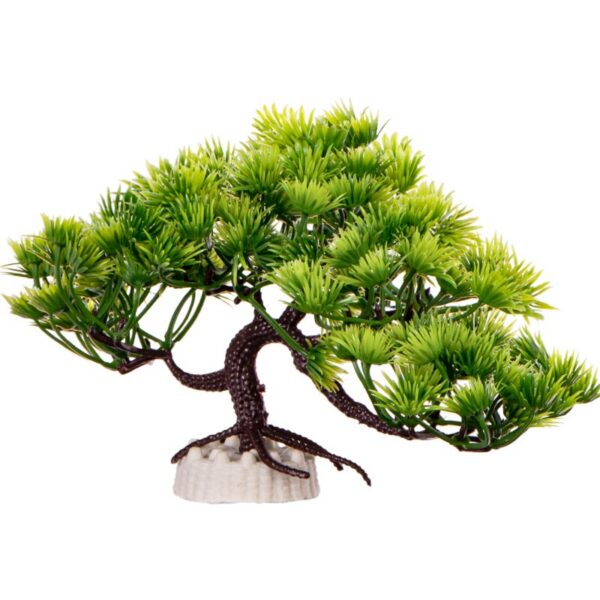 Kruger Meier Plant Twisted Pine